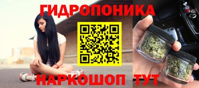 a pvp Шелехов