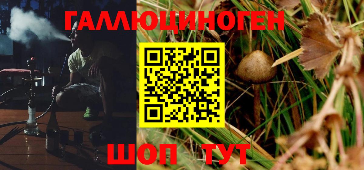 Псилоцибиновые грибы ЛСД Можга